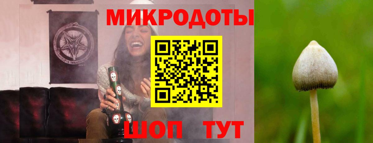 Лосино-Петровский  Псилоцибиновые грибы Psilocybine cubensis  Вход с VPN 
